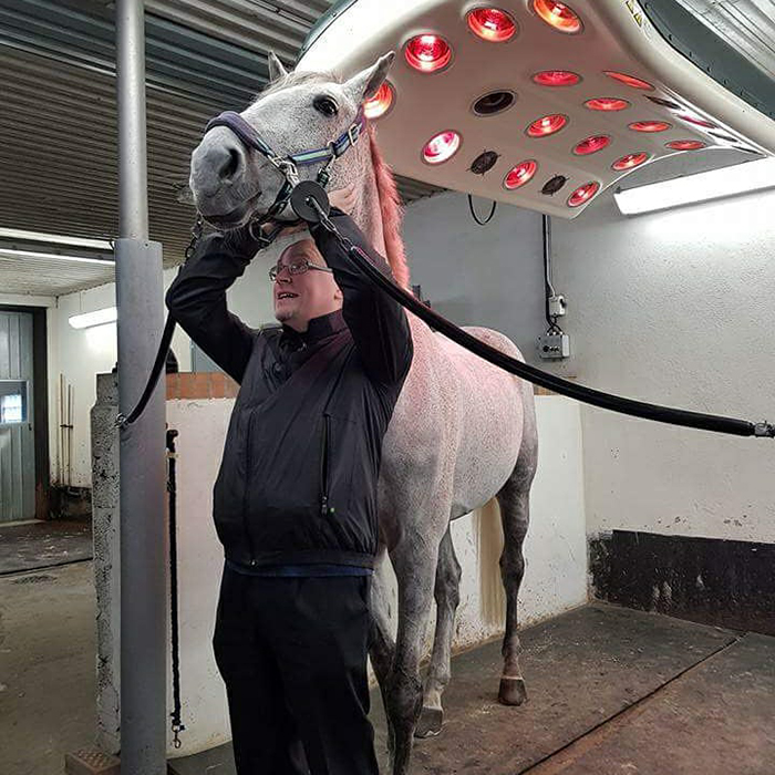 Kurs för hästägare